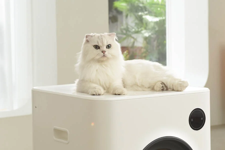 best multi cat litter box